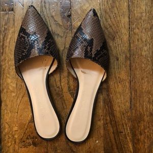 Club Monaco snakeskin mules